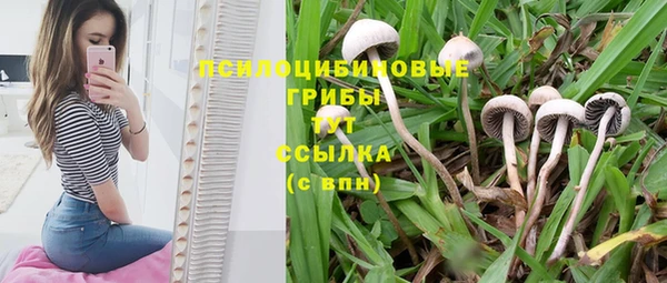 MESCALINE Волосово