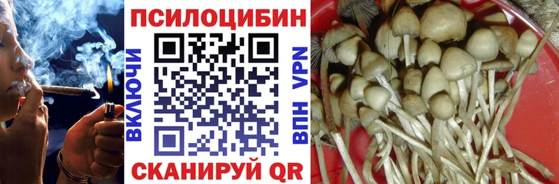 Купить закладки  Спасск  Псилоцибиновые грибы ЛСД 