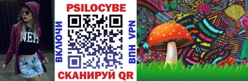 Псилоцибиновые грибы мухоморы Спасск